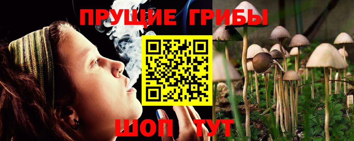 Галлюциногенные грибы прущие грибы Тихвин