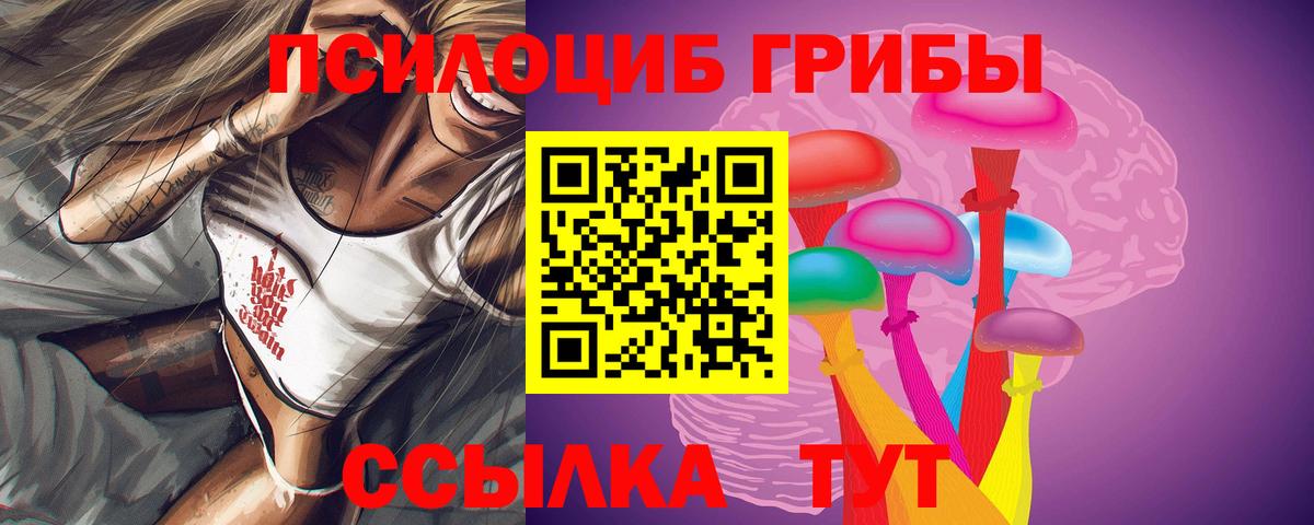 Псилоцибиновые грибы Psilocybe  Вход с VPN  Тихвин 
